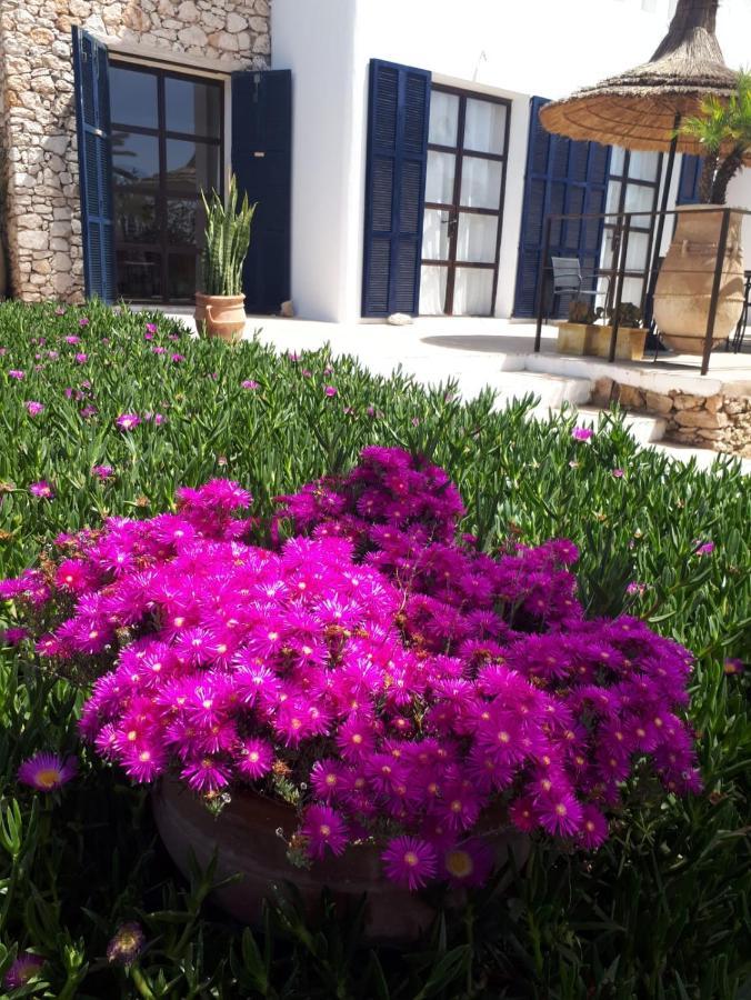 La Maison D'Helene Essaouira เอล กาห์ซัวเน ภายนอก รูปภาพ