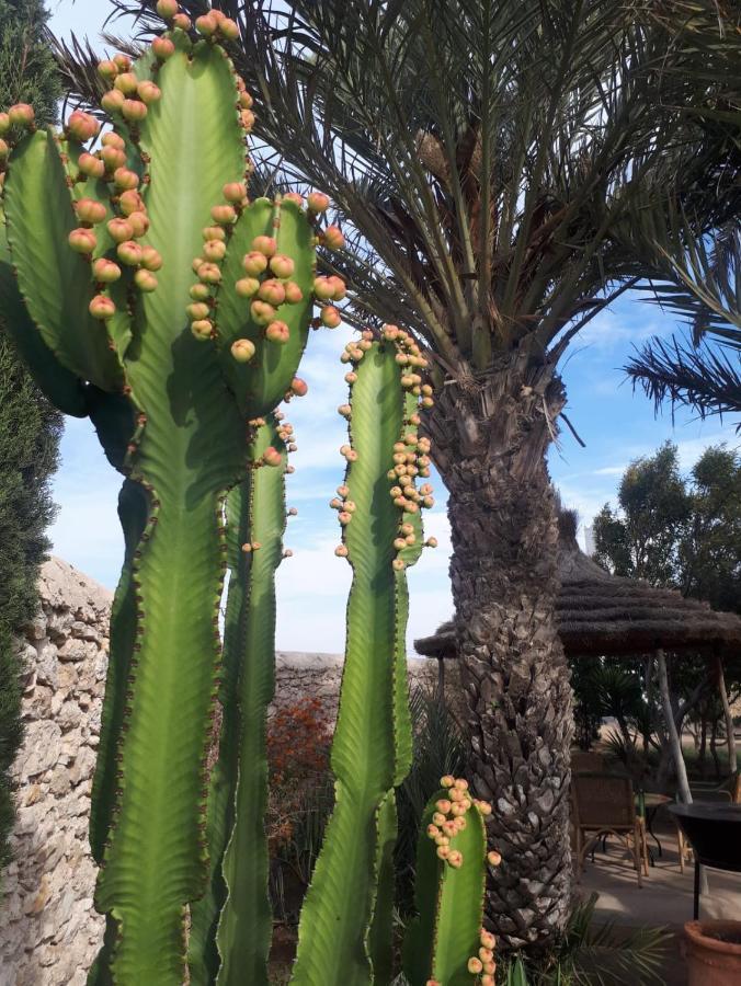 La Maison D'Helene Essaouira เอล กาห์ซัวเน ภายนอก รูปภาพ
