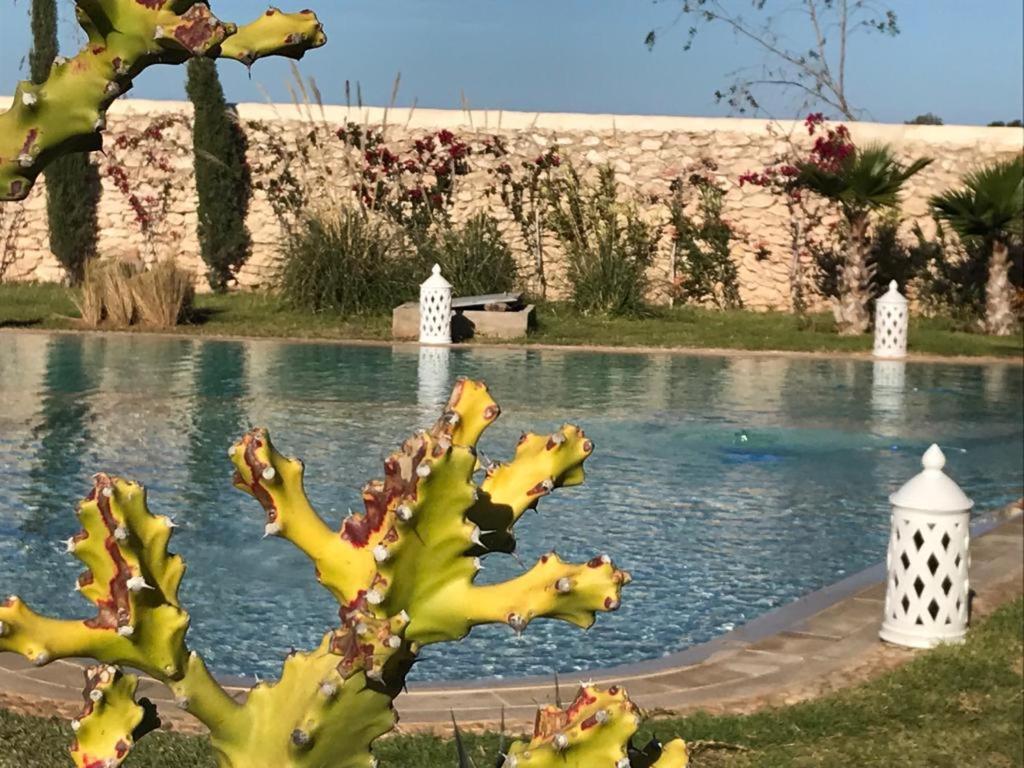 La Maison D'Helene Essaouira เอล กาห์ซัวเน ภายนอก รูปภาพ